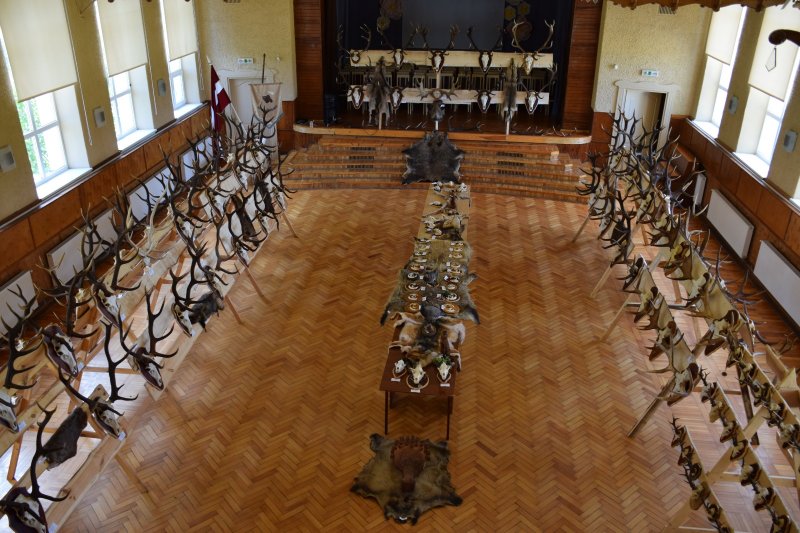 
Medību trofeju izstāde Mērsragā. Publicitātes attēls
