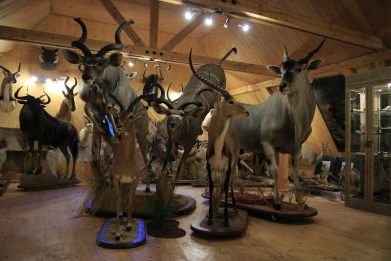 
Attēlam ilustratīva nozīme
