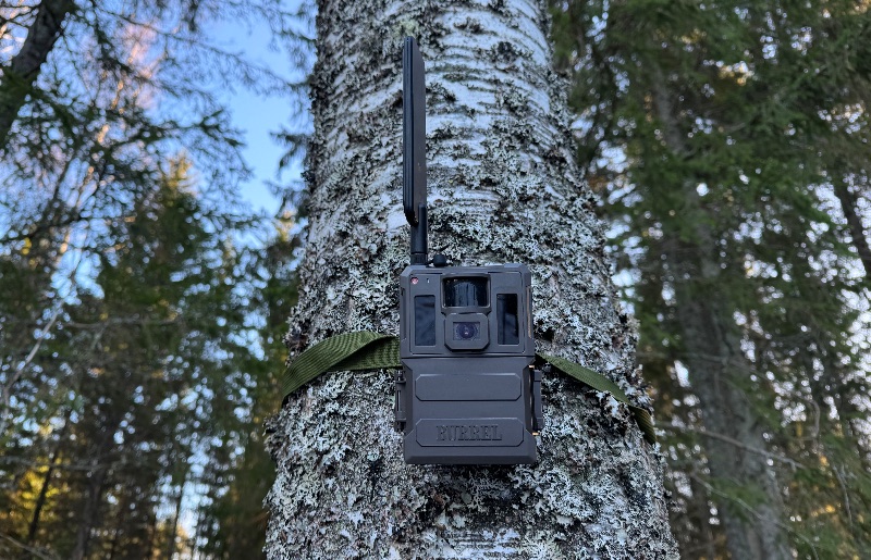 
Meža kamera
