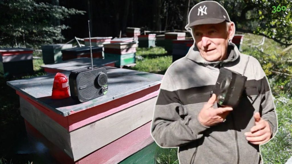 
Biškopis Andis no Kujas dabas parka ar lāčiem sastapies vairākkārt.
