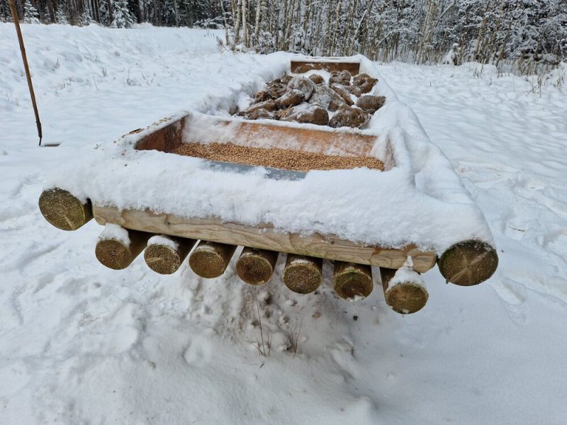 Barības galda augstums – cilvēkam līdz celim. Pieredze liecina, ka pie augstāka galda brieži nenāks…