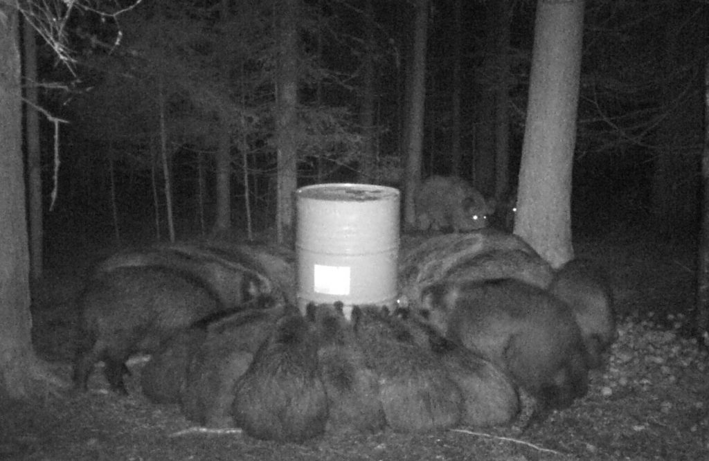 
Attēlam ilustratīva nozīme
