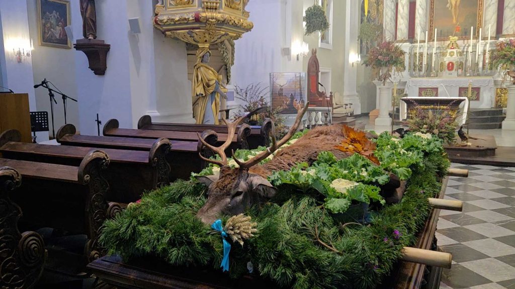 
Briedis vai tā simboliska figūra šajos svētkos tiek ienests baznīcā kā pateicības zīme par medībām un dabu.
