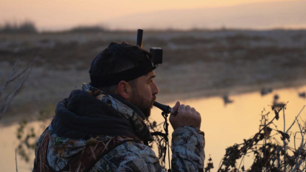 
Latvijā ir atļauts pievilināt ūdensputnus, izmantojot putnu mulāžas un svilpes.
