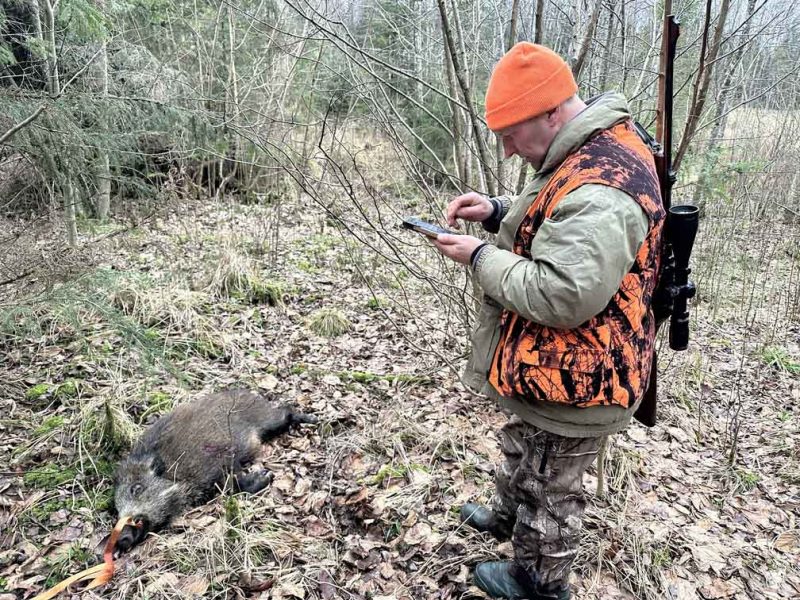 
Attēlam ilustratīva nozīme
