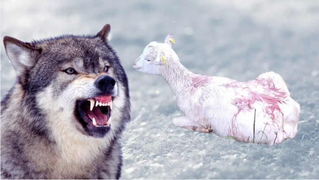 
Attēlam ilustratīva nozīme
