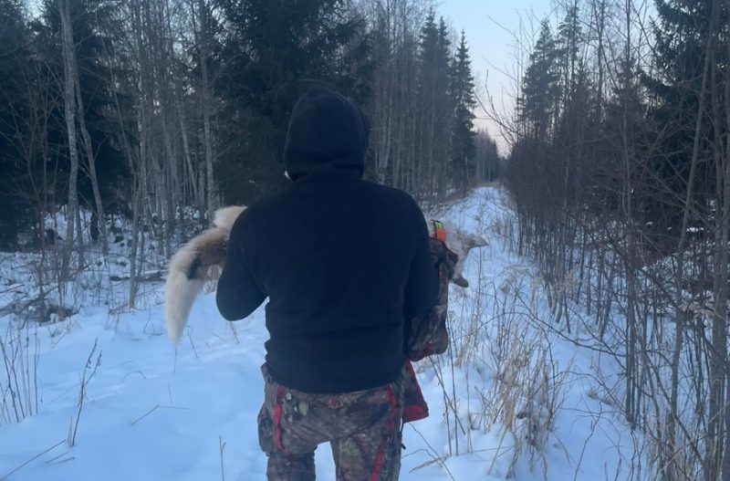 
Bojāgājušo suni no meža iznes uz rokām
