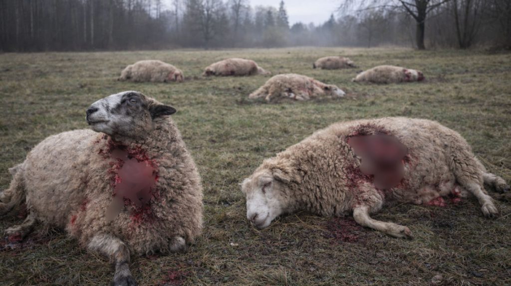 
Attēlam ilustratīva nozīme
